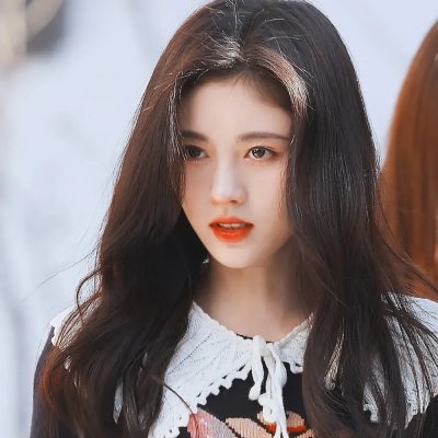 东方秃鹰